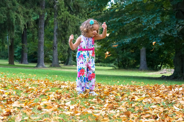 Cute baby girl in the forest in autumn - Photo, Image