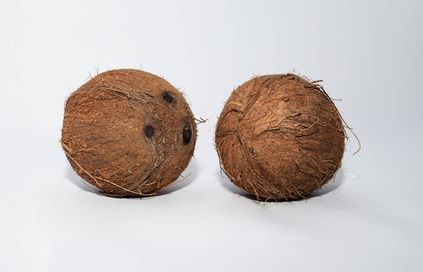 Dos cocos enteros sobre fondo blanco con sombra
 - Foto, Imagen