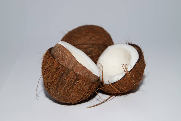 影のある白い背景に2つの全体のココナッツ - 写真・画像