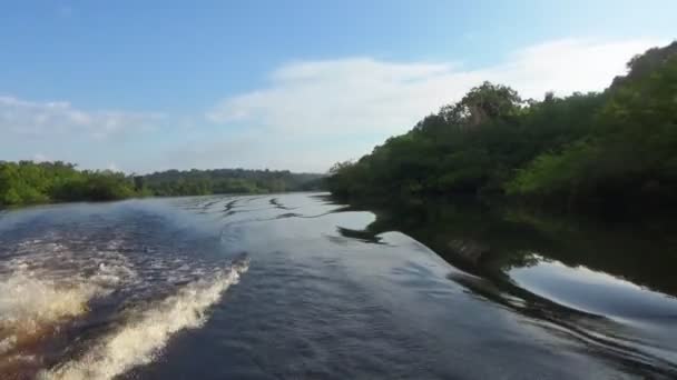Rio Negro sularında ve dallarında yelken açmak, Amazonia, Brezilya. - Video, Çekim