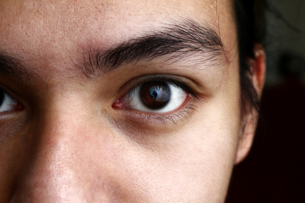 Eyebrows and eyes of Asian teenager - 写真・画像