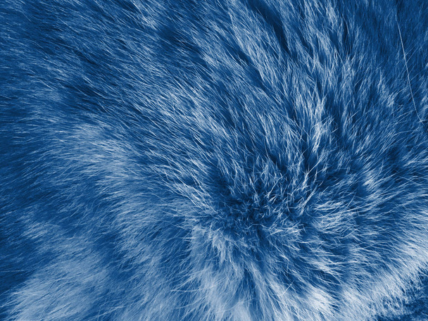 Модный классический синий цвет, абстрактный текстурированный фон из натурального меха животных
 - Фото, изображение