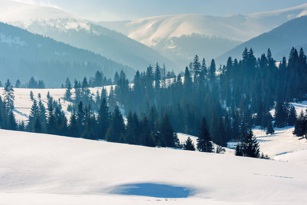 mountainous countryside in wintertime - Фото, зображення
