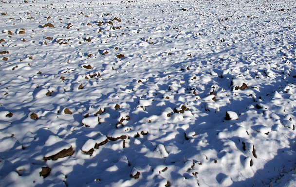 Plowed field under the snow - Photo, Image