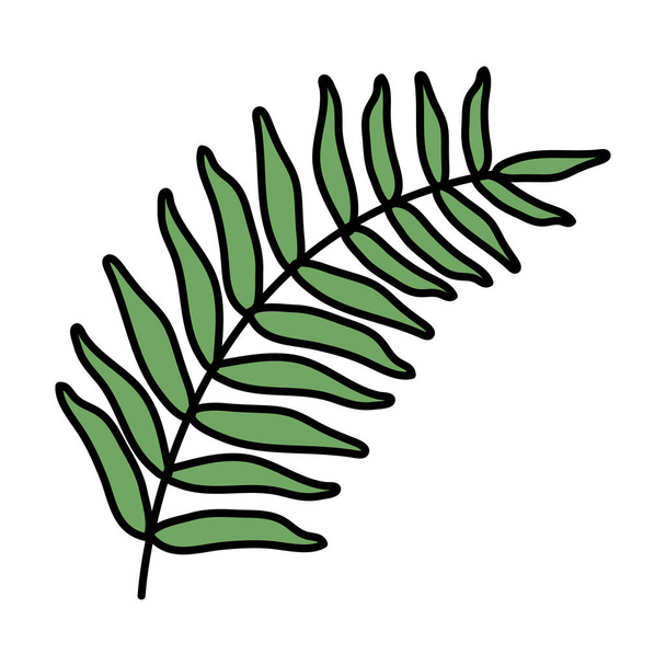exotic and tropical leaf plant - Vector, Image