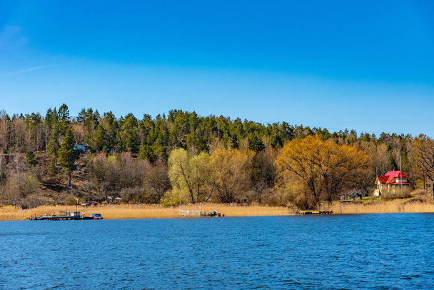 Forrested island on lake malaren near Stockholm, Sweden - Foto, imagen