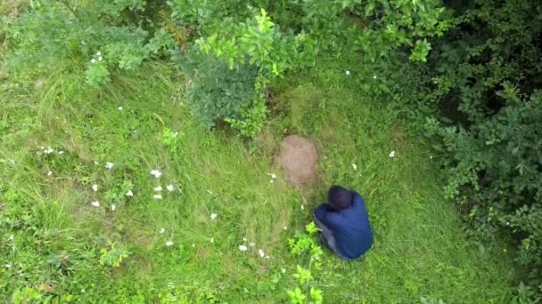 Hombre agachado cerca de hormiguero y entra en el bosque, disparar desde el dron
 - Imágenes, Vídeo