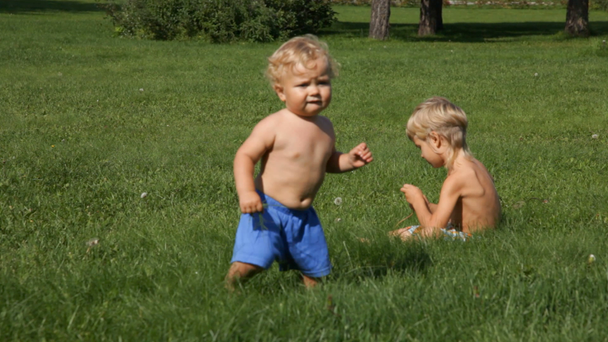 dwóch chłopców grając w ogrodzie - Materiał filmowy, wideo