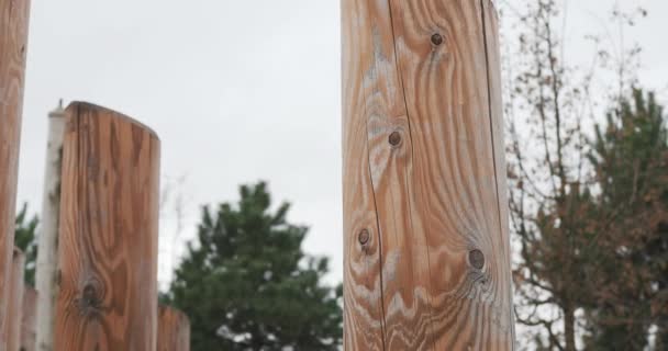 enormes postes de madera con hermosa textura. Concepto de sociedad verde
 - Metraje, vídeo