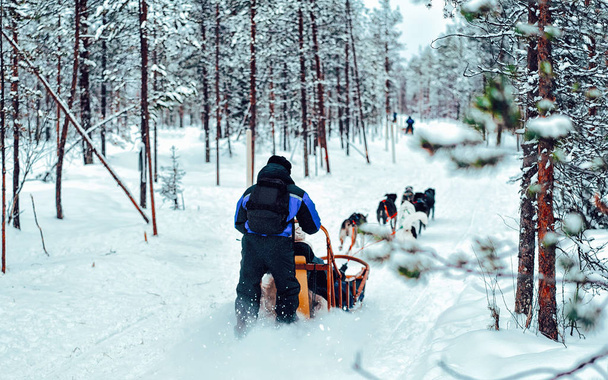 Family riding Husky dog sled in Finland in Lapland winter reflex - Photo, Image
