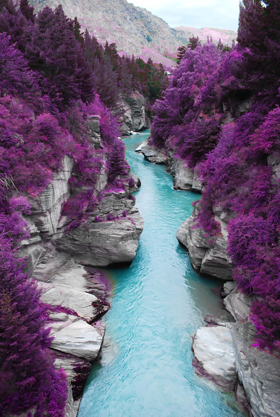 violetti metsä ja sininen virta
 - Valokuva, kuva