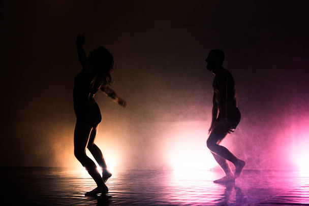 Ballet uitgevoerd door een paar dansartiesten in een zwarte maillot - Foto, afbeelding