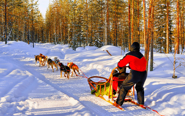 Family in husky sledge in Lapland Finland reflex - Photo, Image