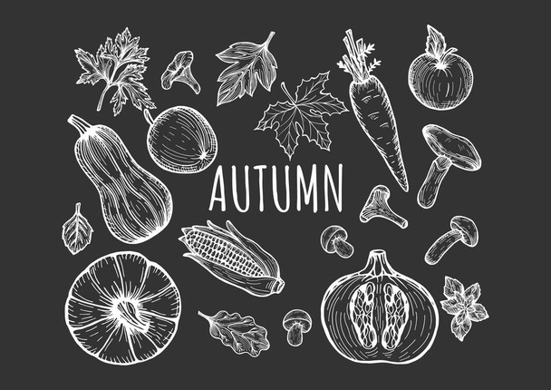 menu d'automne fruits et légumes
. - Vecteur, image