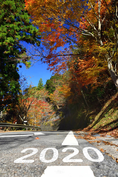 Nový rok 2020 na asfaltovém povrchu silnice s vyznačovacími liniemi, koncepce podzimní barvy - Fotografie, Obrázek
