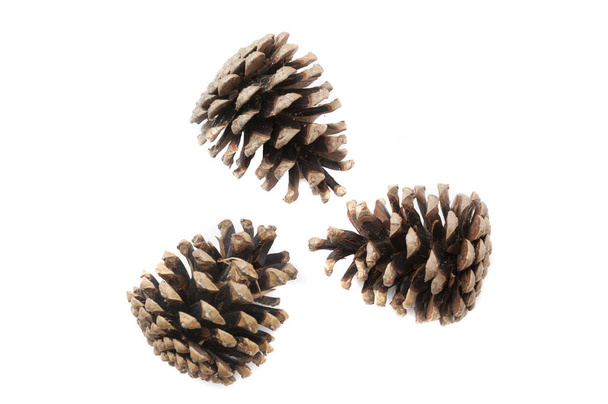cones de pinho de Natal no fundo branco
 - Foto, Imagem