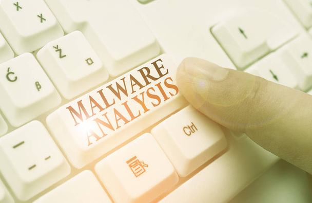 Slovo psaní textu Malware Analysis. Obchodní koncepce pro provedení hloubkové analýzy vyhýbavých a neznámých hrozeb. - Fotografie, Obrázek