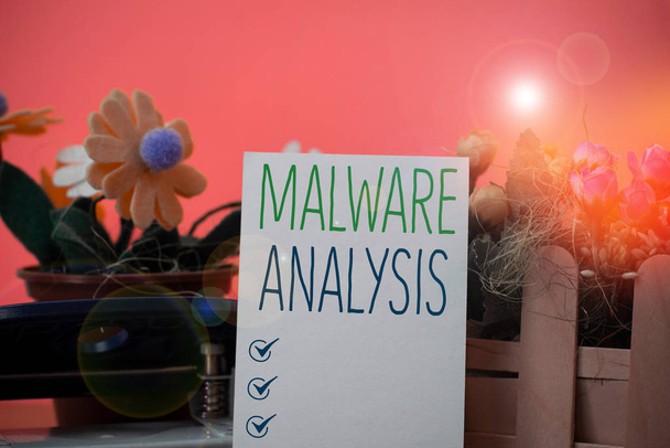 A malware analízist bemutató feljegyzés. Üzleti fotó bemutatása mélyreható elemzést végez kitérő és ismeretlen fenyegetések Virágok és íróeszközök plusz sima lap fölött texturált háttér. - Fotó, kép