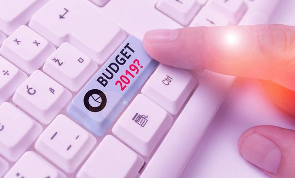 Escritura a mano redacción de texto Presupuesto 2019 Pregunta. Concepto que significa estimación de ingresos y gastos para el próximo año
. - Foto, imagen