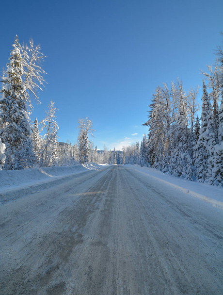Шумная дорога через зимний лес в парке Мэннинг, Британская Колумбия
. - Фото, изображение