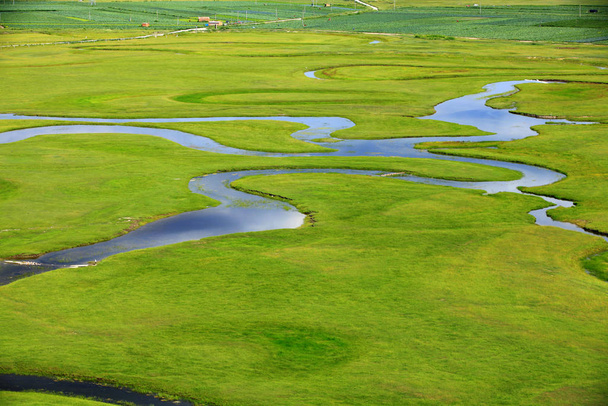 De rivier op het grasland - Foto, afbeelding