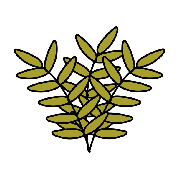екзотичні і тропічні листя рослини прикраси
 - Вектор, зображення