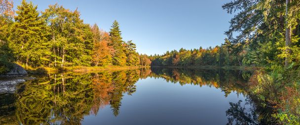 Панорама Лісове озеро восени - Фото, зображення