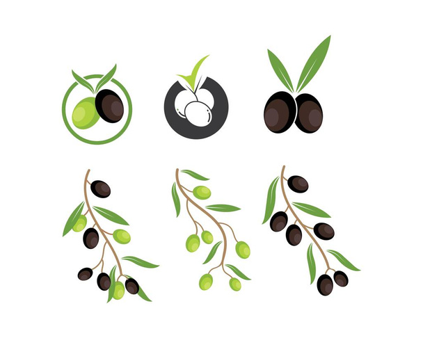 illustration vectorielle icône logo olive
 - Vecteur, image