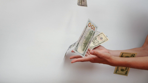 Womans hands try to catch falling US Dollar banknotes falling in slow motion against white background. - Imágenes, Vídeo