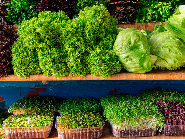 świeże produkty z gospodarstwa świeżej sałaty do jedzenia warzyw - Zdjęcie, obraz
