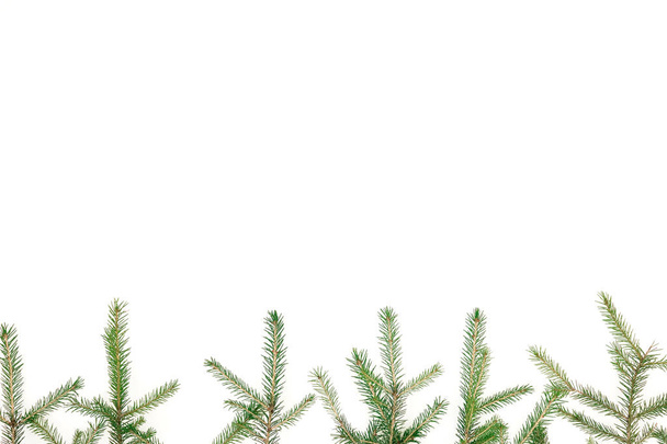 Christmas frame of fir branches on white background. New Year ba - Foto, imagen