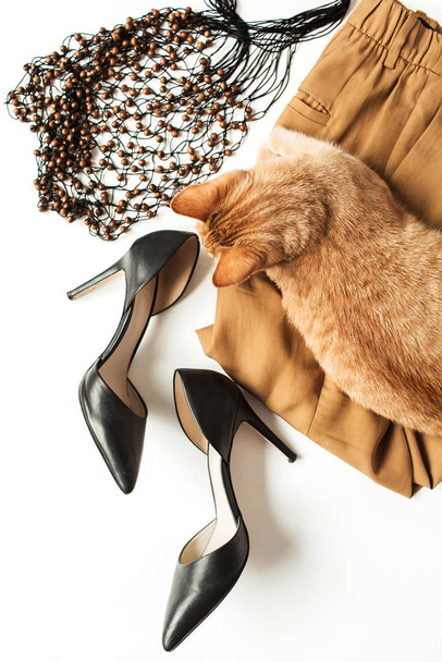 Kadın kıyafetleri, aksesuarlar, beyaz arka planda sevimli kızıl kedi yavrusu. Düz yerde, üst görünüm en az moda kolaj. Pantolon, yüksek topuklu ayakkabılar, torba. Moda blogu, dergi konsepti. - Fotoğraf, Görsel