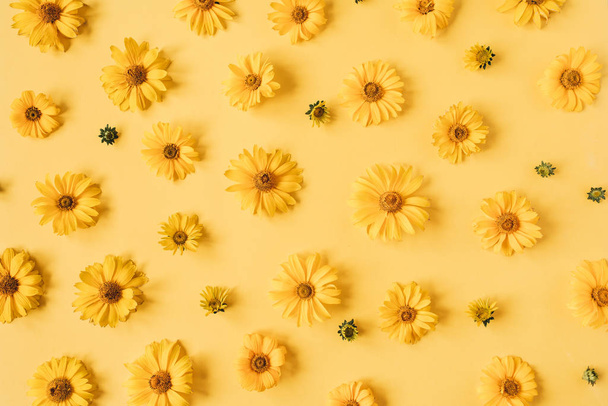 Bloemen compositie met gele madeliefje bloemknoppen patroon textuur op gele achtergrond. Flatlay, bovenaanzicht. - Foto, afbeelding