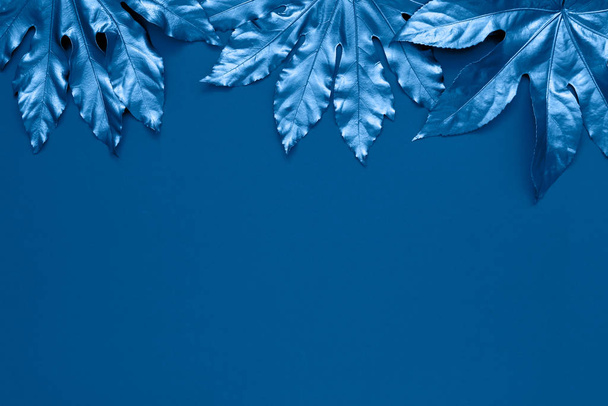 Blue colored tropical leaves on blue backdrop. Color of the year 2020 classic blue toned. Copy space, top view. - Foto, Bild