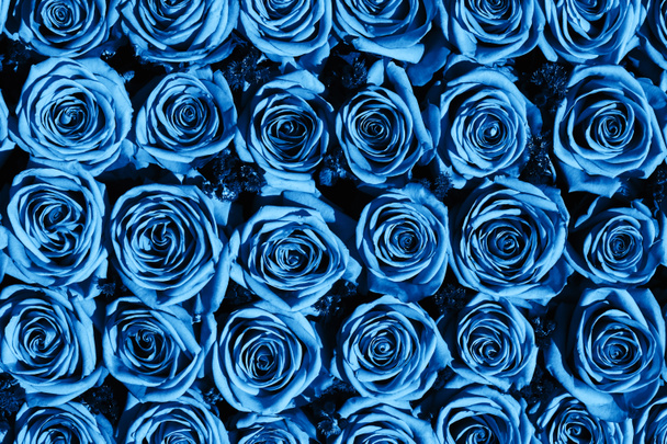 Blumen Hintergrund. Rosenstrauß, Draufsicht. Farbe des Jahres 2020 klassisch blau getönt. Grußkarte. - Foto, Bild