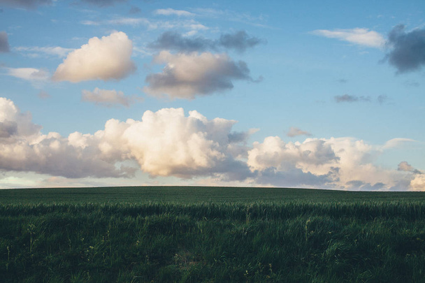 золоті хмари зелене поле
 - Фото, зображення