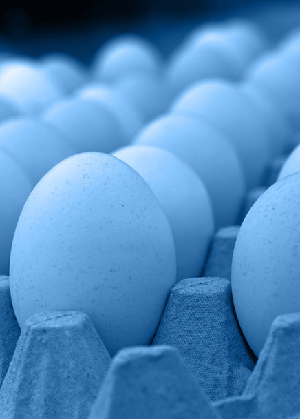 Закройте голубые куриные яйца в коробке для подносов
 - Фото, изображение