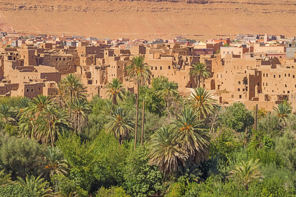 Close-up de campos e palmeiras em torno de Tinghir no oásis fértil ao longo do Wadi Todgha
 - Foto, Imagem