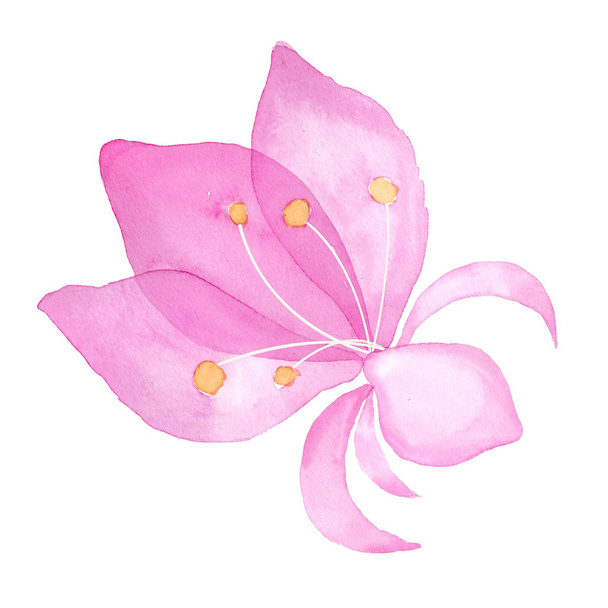 Pink flower on white background. Watercolor illustration. - Photo, image
