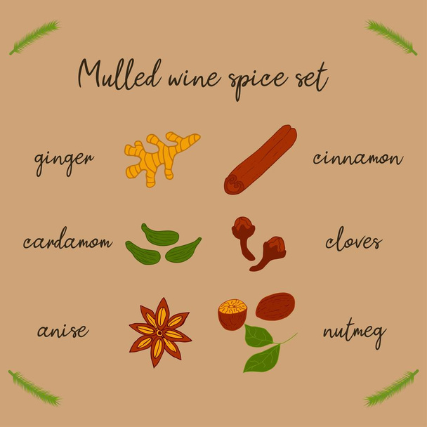 A set of spices for mulled wine - Vector, Image