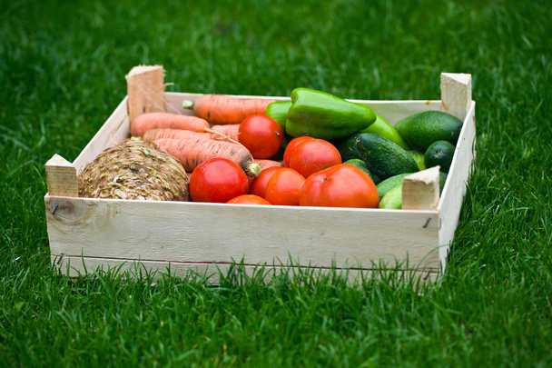 vegetable in box on grass - Foto, afbeelding