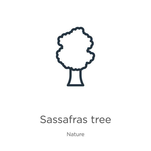 Ikona stromu Sassafras. Tenký lineární sassafras obrys stromu ikona izolované na bílém pozadí ze sbírky přírody. Čárový vektorový znak stromu sassafras, symbol pro web a mobil - Vektor, obrázek