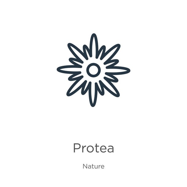 Protea icon. Thin linear protea outline icon isolated on white background from nature collection. Line vector protea sign, symbol for web and mobile - Vector, Image