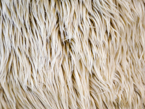 Falešná barva béžové kožešiny tkaniny nebo vlna ovce fleece detailní texturované a pozadí. - Fotografie, Obrázek