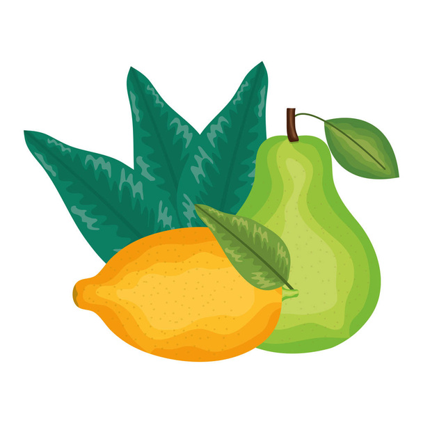 fresh pear and lemon fruits - Vector, Image