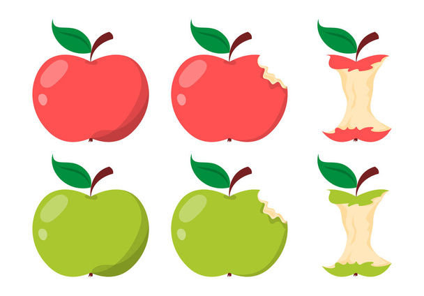 Apple core. Green and red sweet fruit. Illustration of food - Vector, Image