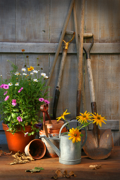 Jardim galpão com ferramentas e vasos
 - Foto, Imagem