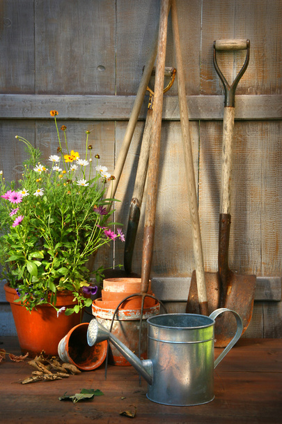 narzędzia ogrodowe i kwiaty w szopie - Zdjęcie, obraz