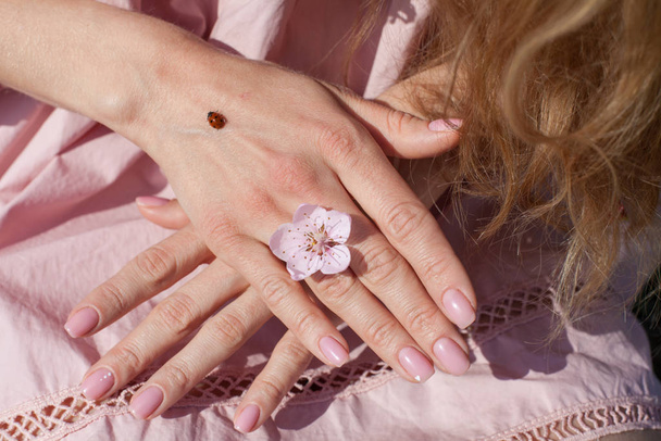 Biedronka owady w rękach delikatnej kobiety - Zdjęcie, obraz