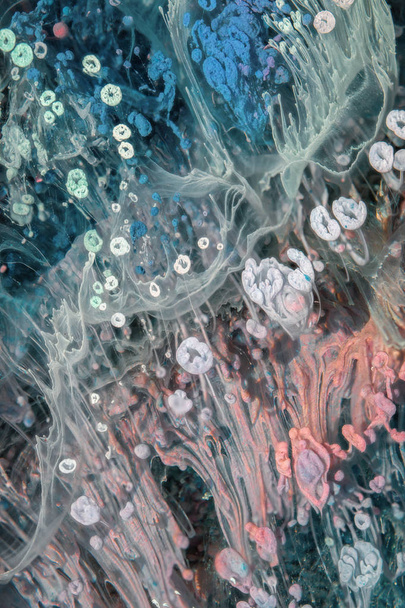 A arte Petri - uma técnica moderna na pintura, é criada adicionando tinta alcoólica à epóxi. Após o endurecimento, gotas de tinta endurecem e se parecem com um plexo de algas, recifes de caramelo e o fundo do mar.
. - Foto, Imagem
